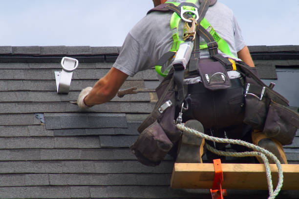 Best Solar Panel Roofing Installation  in Breese, IL